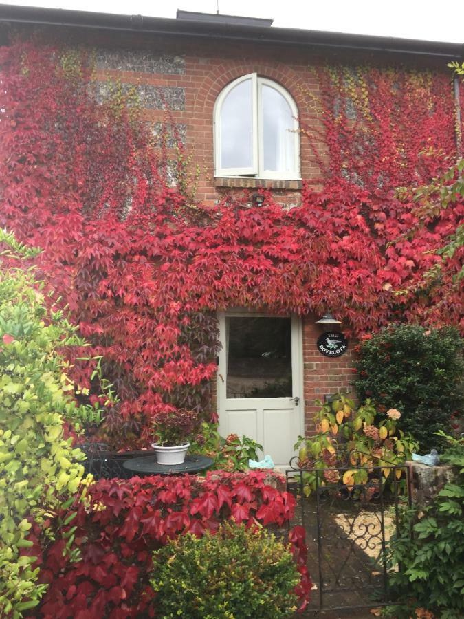 Villa The Dovecote, Stoke Farthing Courtyard Broad Chalke Exterior foto